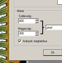 99.jpg