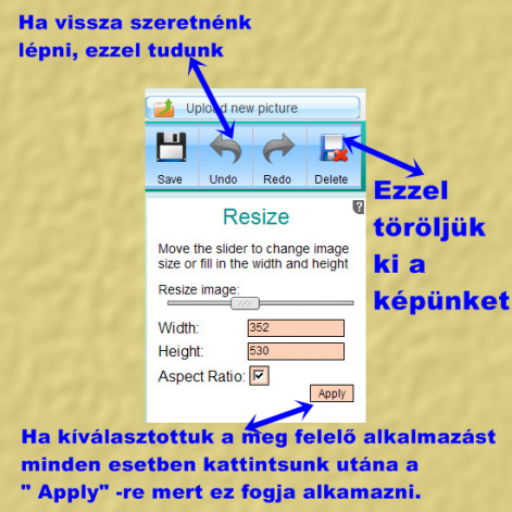 zv_0.png