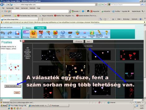 zv_18.png