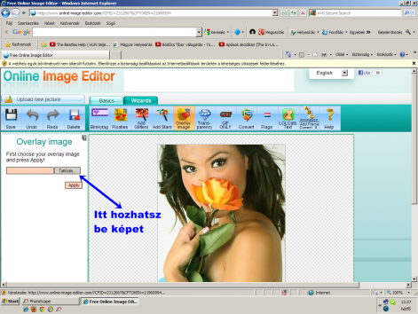 zv_21.png