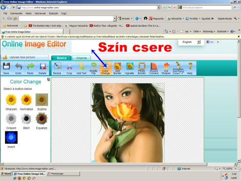 zv_8.png