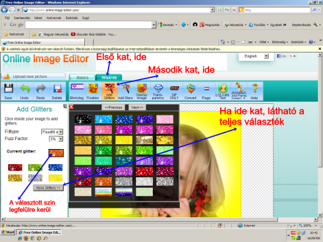 zvv_5.png